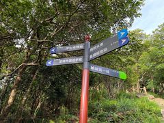 -梧桐山风景名胜区