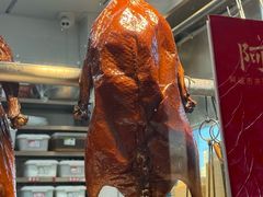 -阿诚市井潮汕菜(金台路店)