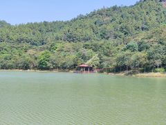 -广州白江湖森林公园