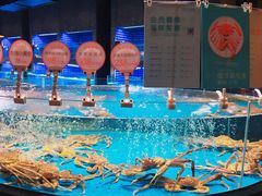 -徐记海鲜(梅溪新天地店)