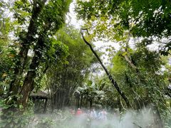 -呀诺达热带雨林