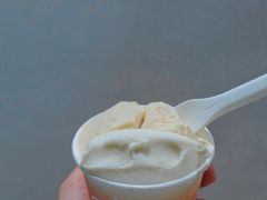-Dip in Gelato(富民路店)
