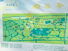 -上海海湾国家森林公园