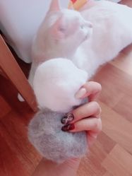 -进巍美甲