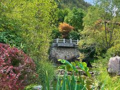 -麦积山温泉