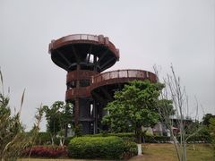 -芒洲湿地公园