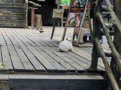 -海南槟榔谷黎苗文化旅游区