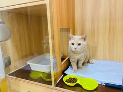 -美联众合动物医院(·中兽医·疑难杂症·严家桥分院)