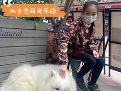 -more than meow吴止猫主题餐厅(承德 中船汇店)