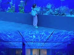 -广东中医药博物馆