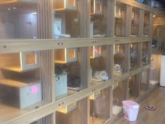 -喜狗宠物生活馆(岳州路店)