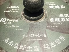 -蘑界·野生菌火锅(深业上城店)