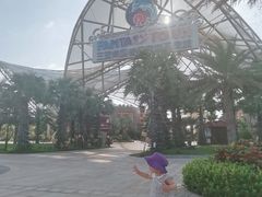 -三亚海昌梦幻海洋不夜城