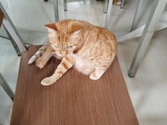 -玉华饮食店(茅台路店)
