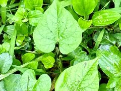-丝绸小镇荻港古村
