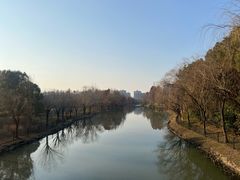 -自然谷恐龙园