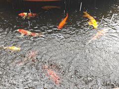 -侠成水上农庄(工业大道店)