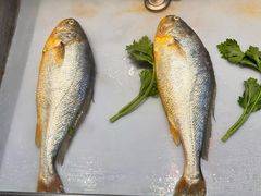 -阿诚市井潮汕菜(金台路店)