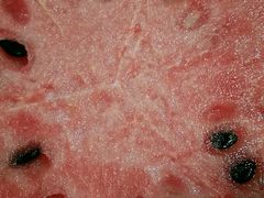 -世纪联华超市(外海店)