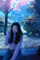 -DK SALON连锁专业烫染接发店
