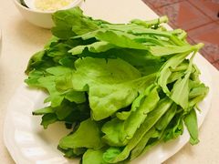 茼蒿-八先生涮肉房(三里河店)