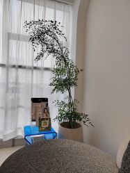 -JNK皮肤管理中心