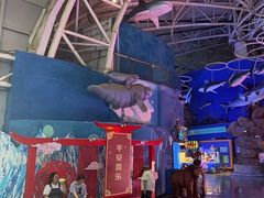 -烟台海昌鲸鲨海洋公园