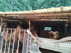 -呀路古热带植物园