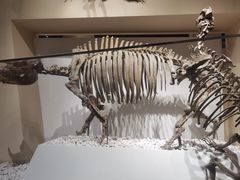 -国家自然博物馆