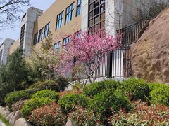 -崂山区第二实验小学