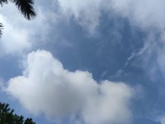 -日照海滨国家森林公园