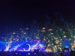 -泰达航母主题公园