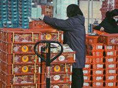 -沈阳市八家子水果批发市场