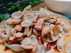 -俏东方·海味水饺·青岛菜(崂山店)