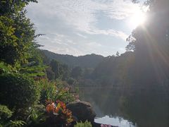 -深圳仙湖植物园