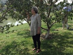 -武清南湖绿博园