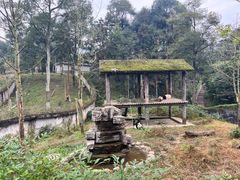 -中国大熊猫保护研究中心雅安碧峰峡基地