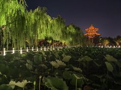-济南大明湖景区