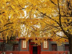 -四川大学(望江校区)