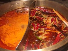 -小龙坎火锅(春熙太古里店)