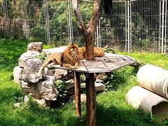 -济南野生动物世界