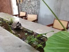 -金稼园·金平湖农家菜