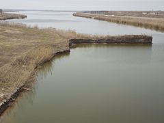 -卤阳湖国家湿地公园
