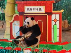 -广州长隆野生动物世界