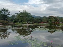 -中国科学院西双版纳热带植物园