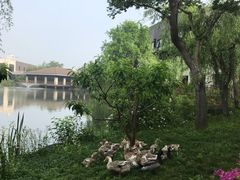 -上海怡沁园度假酒店