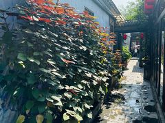 -四喜小胖·北京涮肉(五道营店)