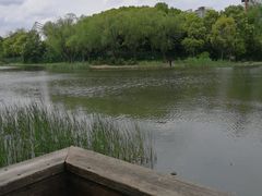 -新江湾城公园