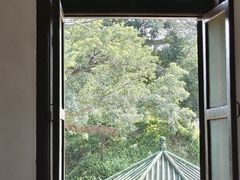-长洲岛