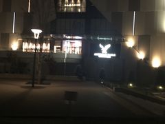 -台场海滨公园船码头